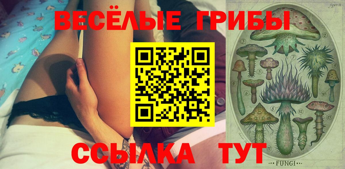Галлюциногенные грибы ЛСД Лесосибирск